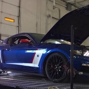 Meet your Posher, Domino